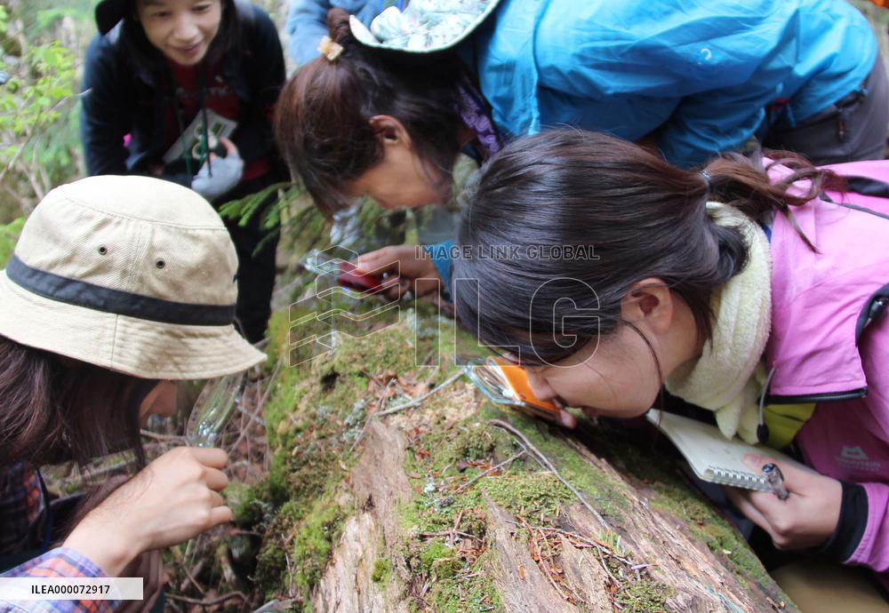 Women observe moss in Nagano mountain range