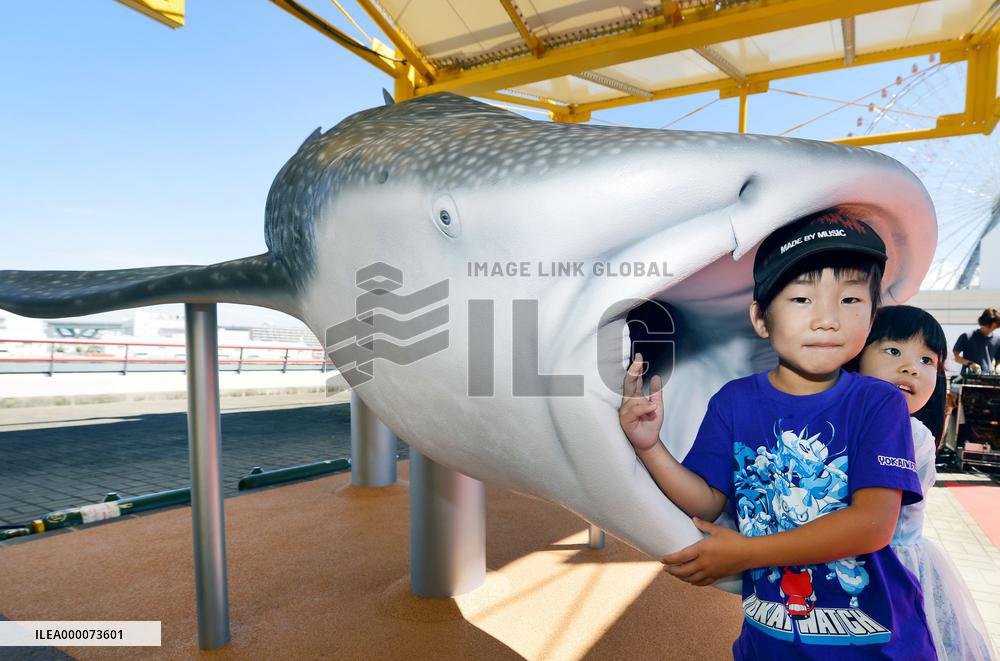 Aquarium in western Japan marks 25th anniversary