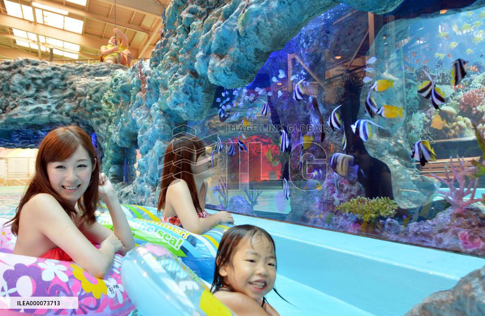 Spa resort in northeastern Japan town unveils new attraction