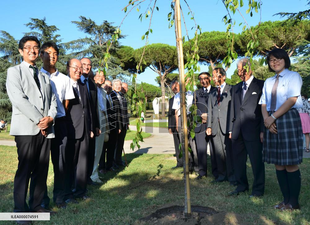Japanese youths plant cherry tree at pope's summer retreat