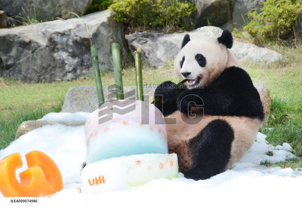 Giant panda's third birthday