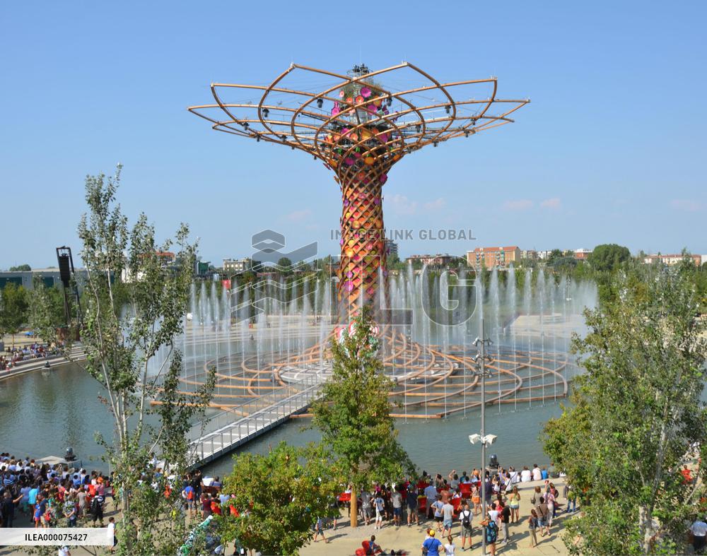 Water and music show held at Expo Milano "Tree of Life"