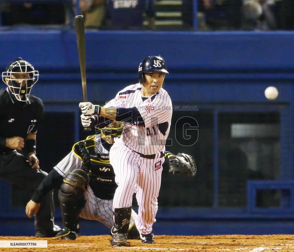 Swallows fly to 1st CL pennant in 14 years