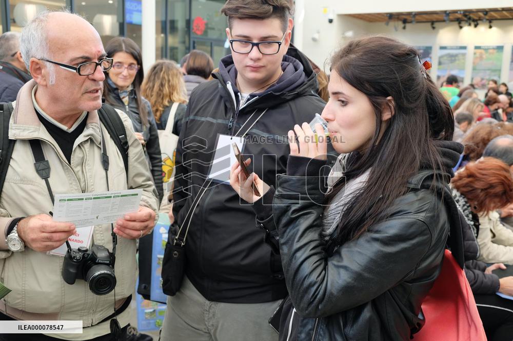 Japanese tea introduced at Milan expo