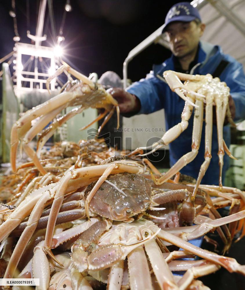 Snow Crab in season's 1st landing at western Japan port