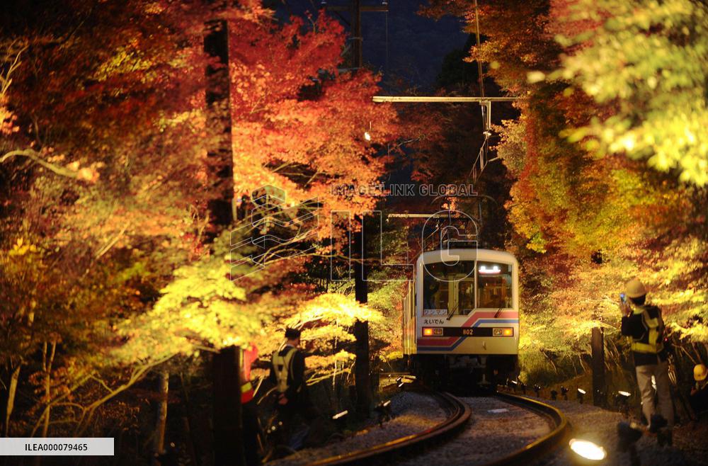 Kyoto train running through 'fall foliage tunnel'