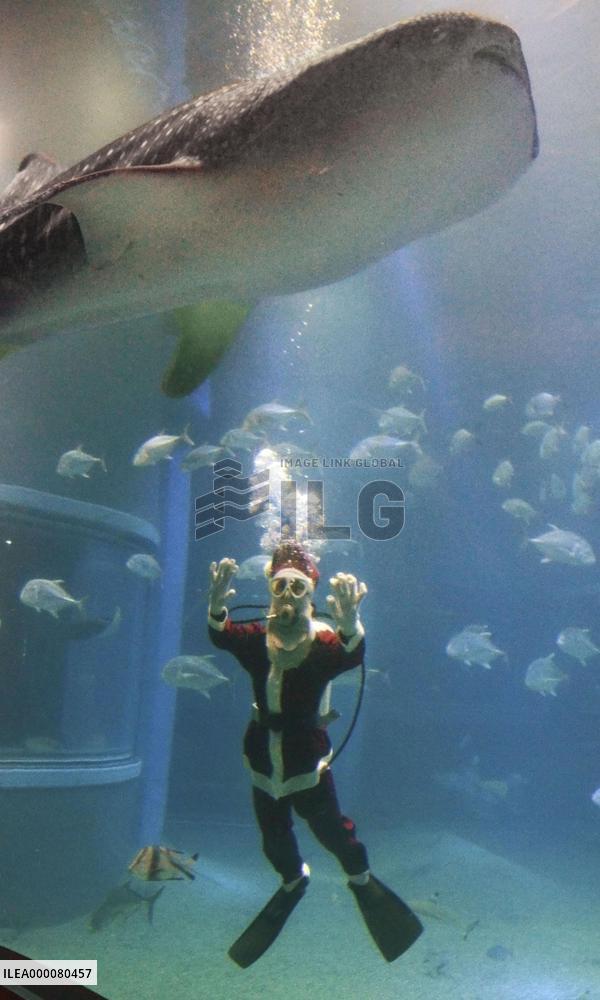 Diver in Santa Claus costume greets visitors at Osaka aquarium