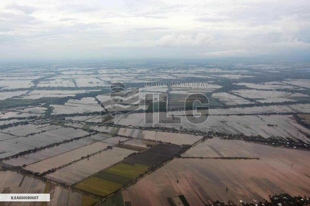 Aerial view of Mekong Delta's paddy fields