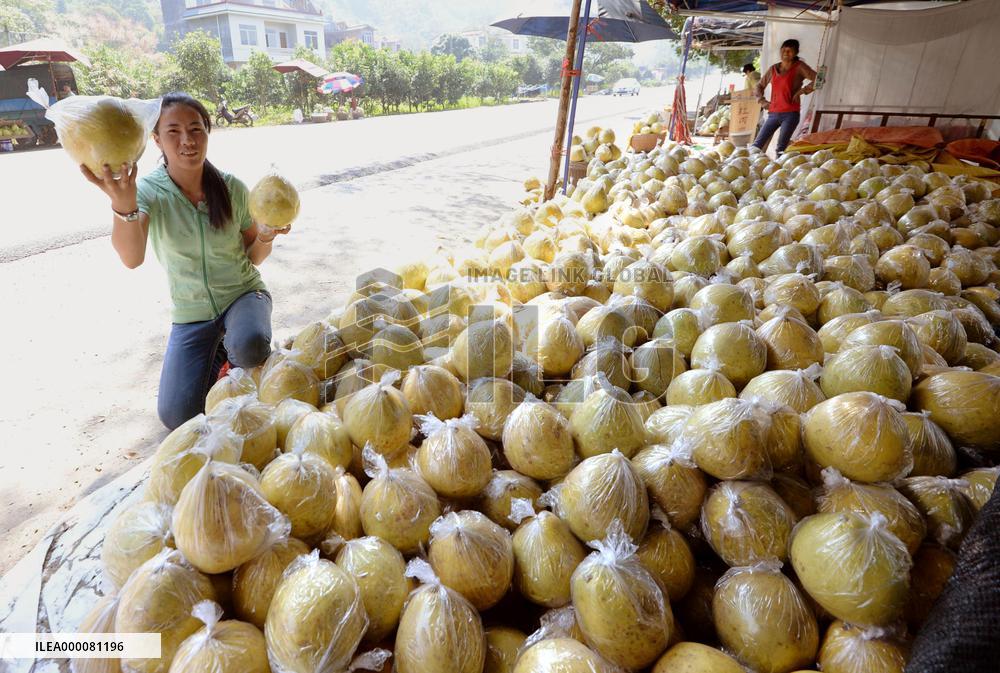 Woman sells shaddocks in China's Guangxi Zhuang Autonomous Region