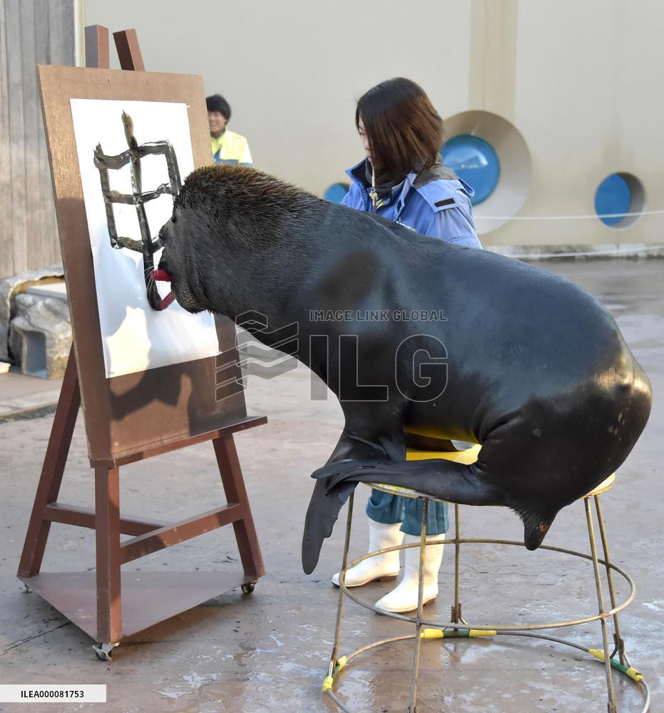 Sea animal performances ahead of New Year