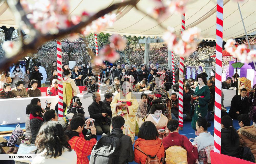 Japanese apricot blossom festival at Kyoto shrine