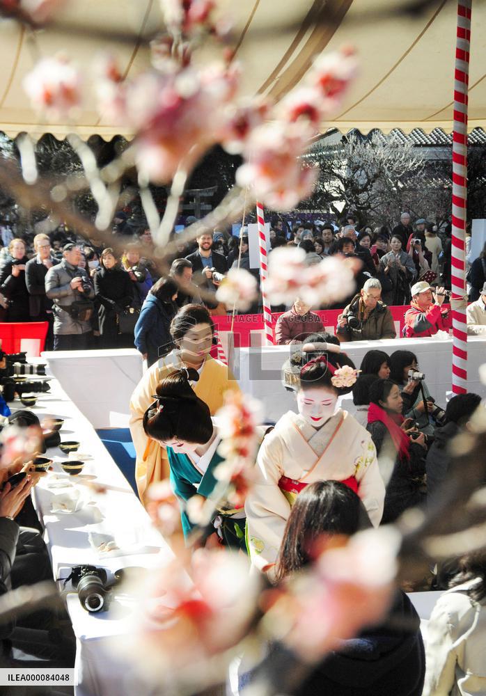 Japanese apricot blossom festival at Kyoto shrine