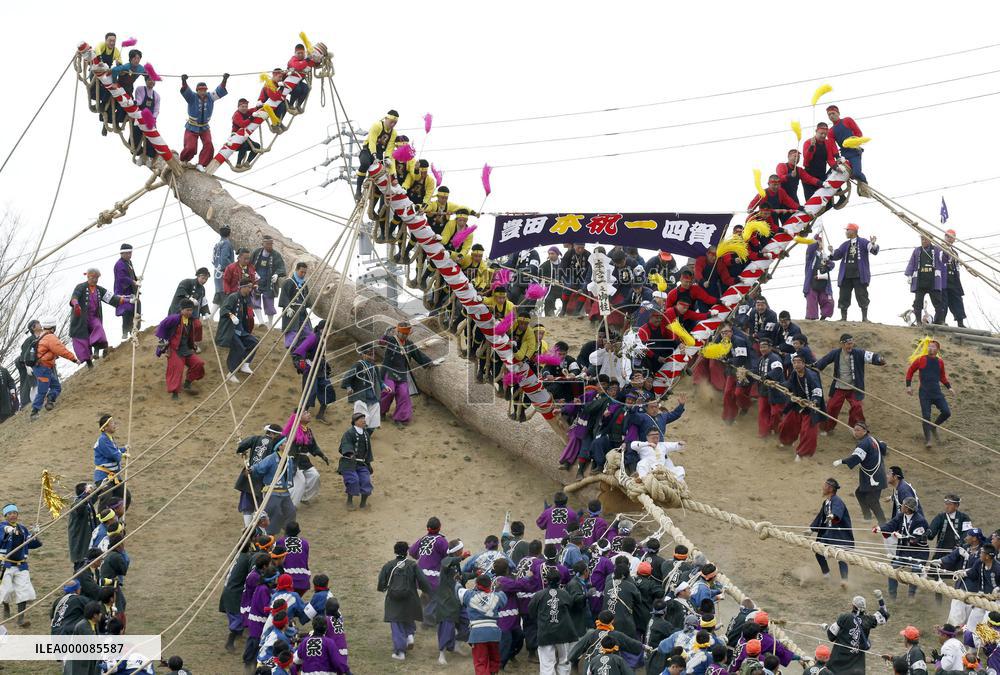 Huge fir trunk descends mountain slope