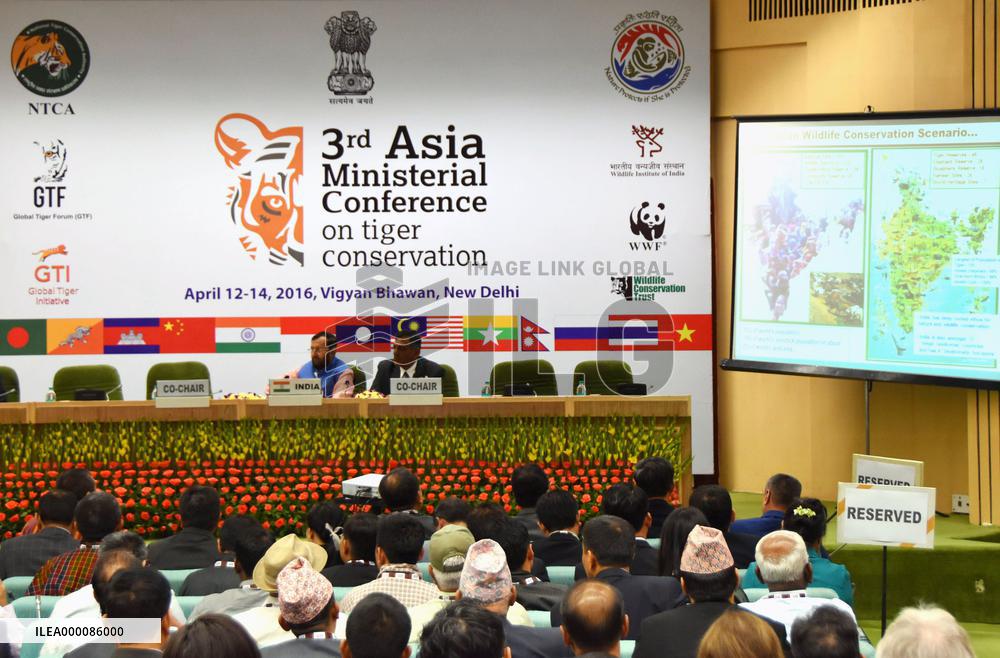 Conference on tiger conservation begins in New Delhi