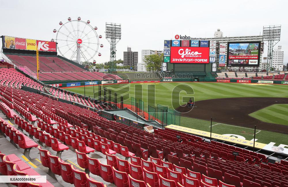 Ferris wheel installed at ballpark