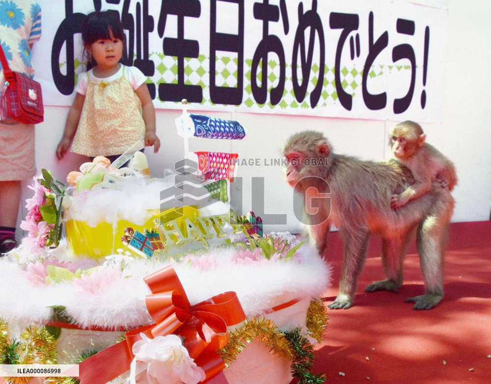 Monkey named after Princess Charlotte turns 1