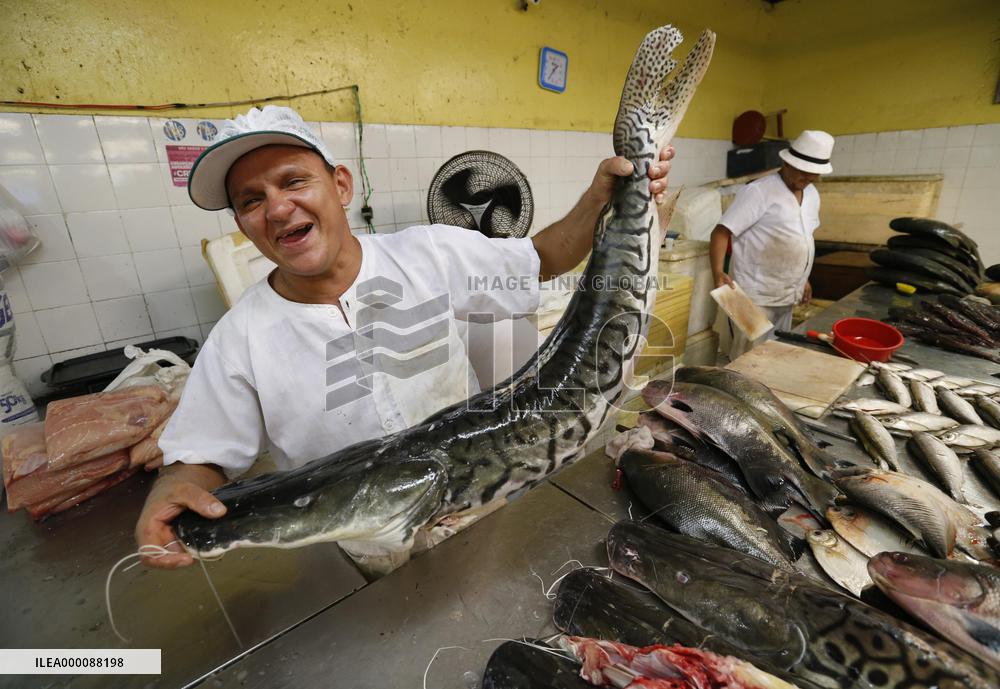 Manaus, big city in middle of Amazon rainforest