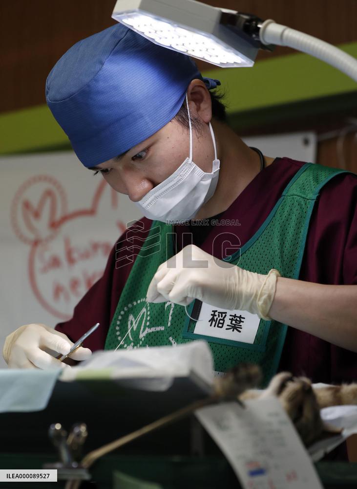 "Cat island" in western Japan