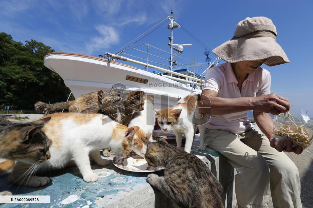 "Cat island" in western Japan