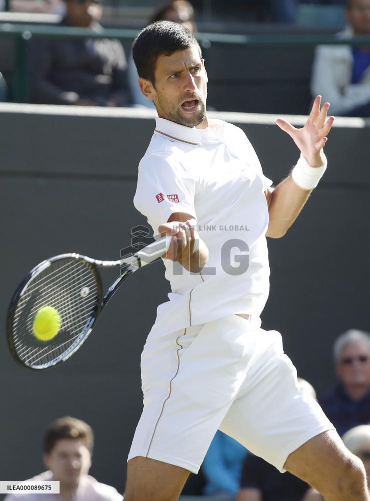 Sam Querrey knocks Novak Djokovic out of Wimbledon tennis