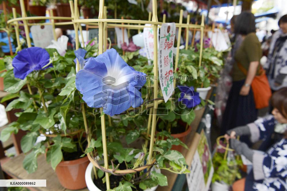 Morning Glory Market starts in Tokyo