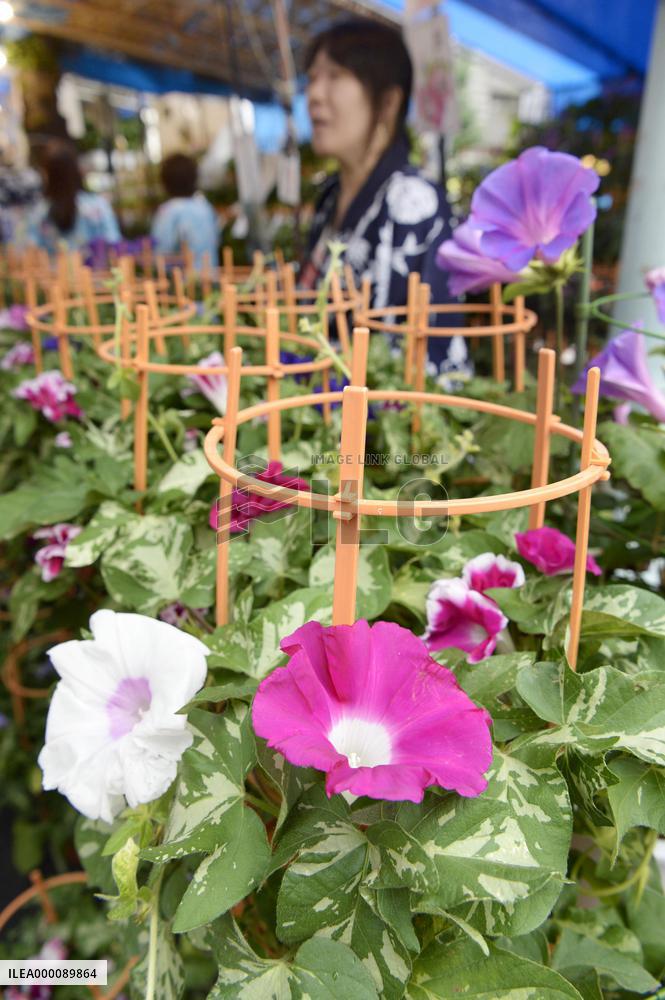 Morning Glory Market starts in Tokyo