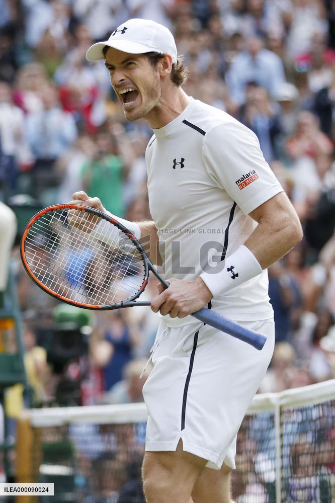 Murray advances to Wimbledon final