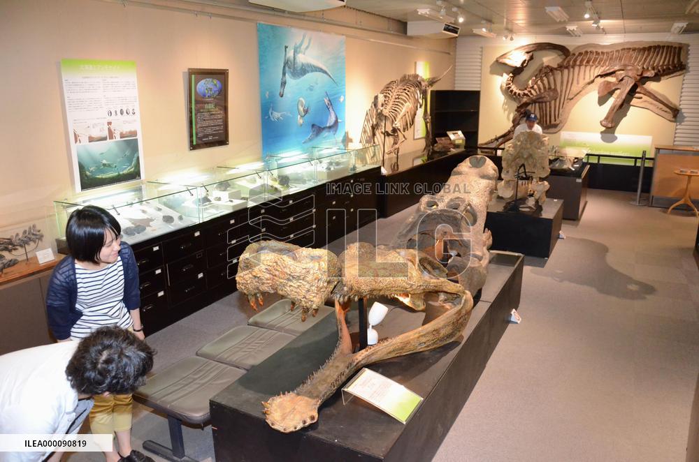 Hokkaido University Museum reopens