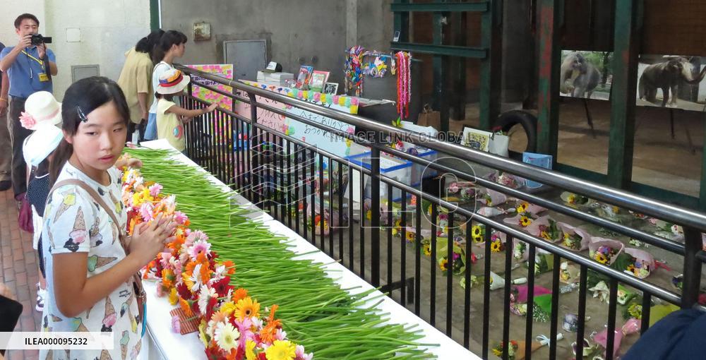 2,800 bid farewell to oldest elephant Hanako