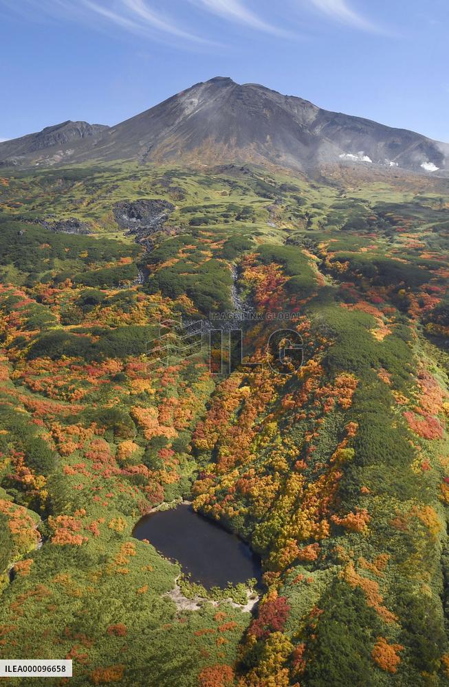 Autumn leaves on Taisetsu Mountain Range in Hokkaido