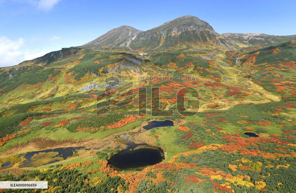 Autumn leaves on Taisetsu Mountain Range in Hokkaido