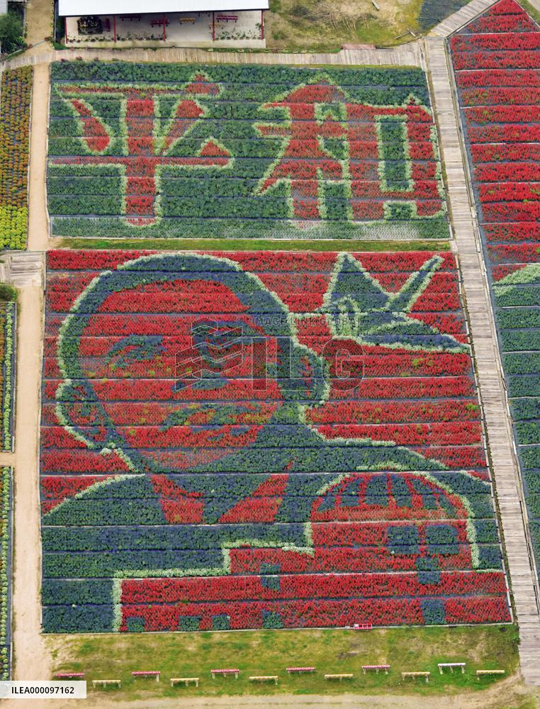 Flower art depicts Obama, paper crane, Atomic Dome