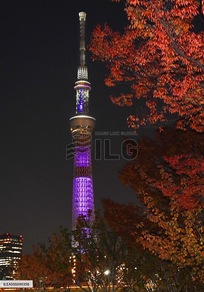 Tokyo Skytree lit up in purple to eliminate violence against women