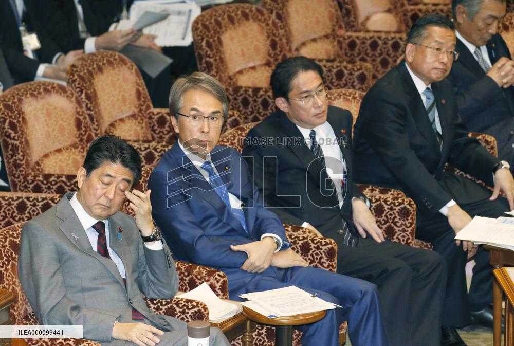 TPP session at Japan's upper house