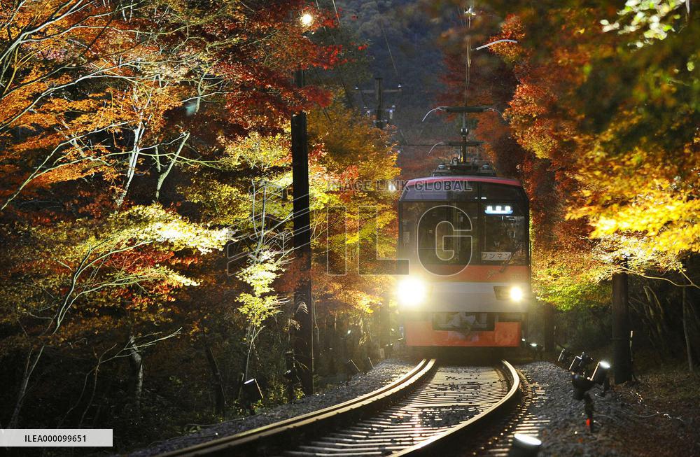 Foreign tourists to Japan reach 20 million in Jan.-Oct.