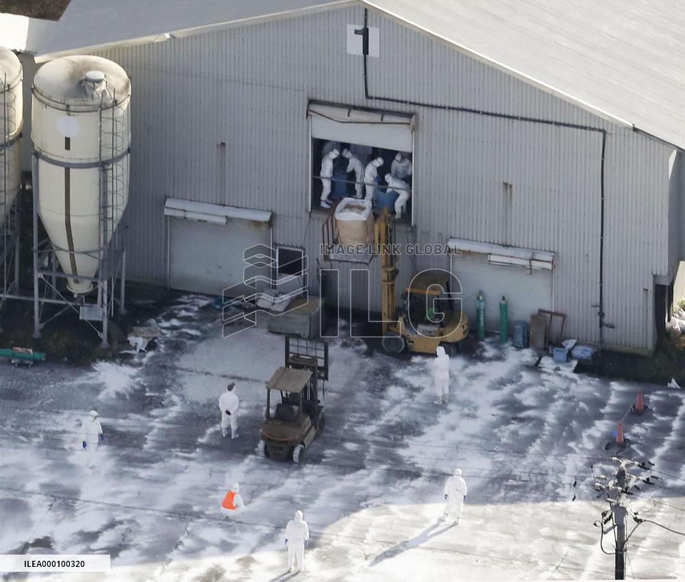Highly contagious bird flu strain detected at Japanese poultry farm