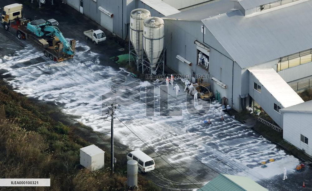 Highly contagious bird flu strain detected at Japanese poultry farm