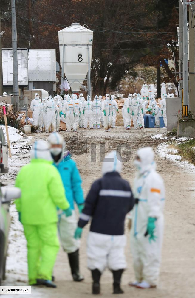 Bird flu strain detected in ducks in Aomori