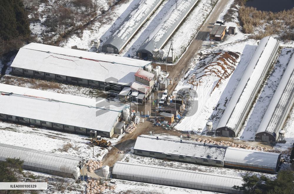 Bird flu strain detected in ducks in northeastern Japan city