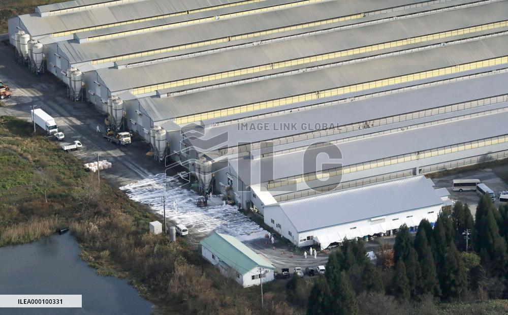 Highly contagious bird flu strain detected at Niigata poultry farm