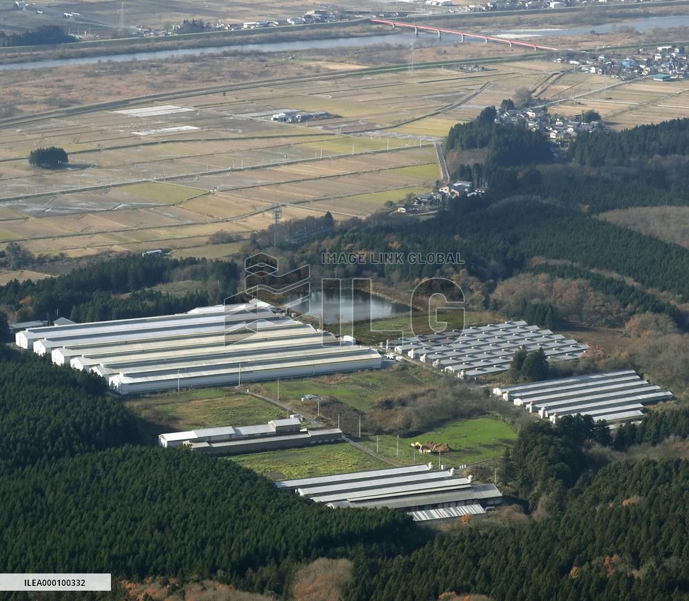 Highly contagious bird flu strain detected at Niigata poultry farm