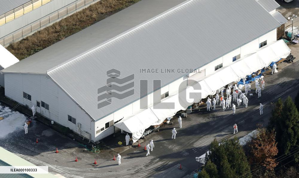 Highly contagious bird flu strain detected at Niigata poultry farm