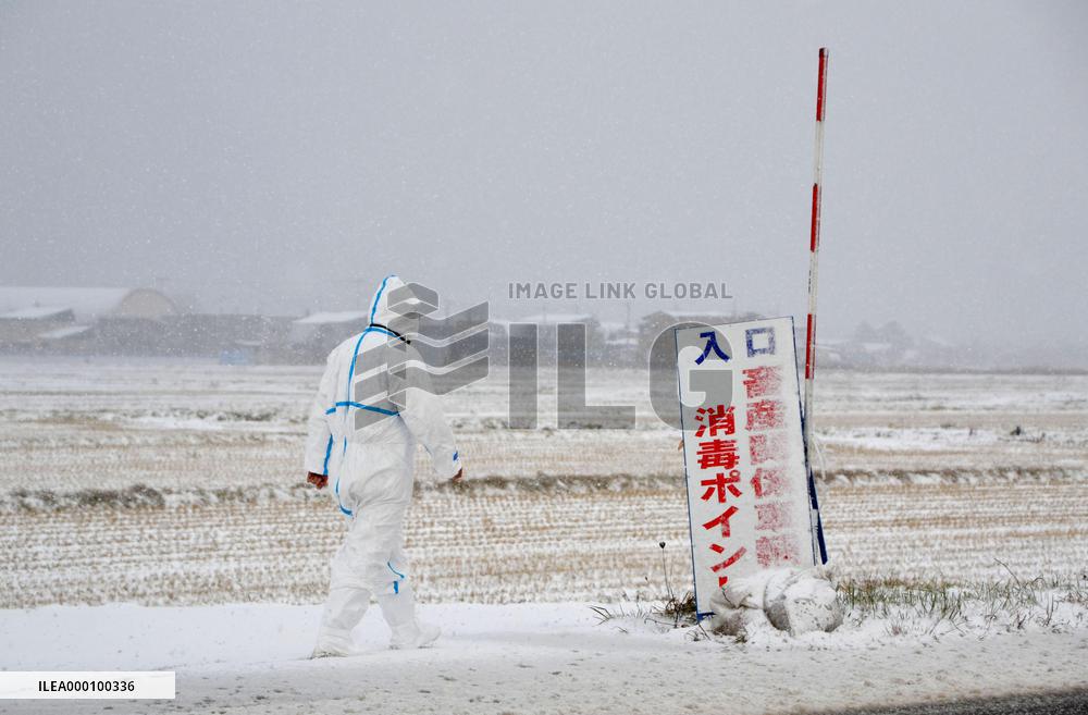 Bird flu strain detected in ducks in northeastern Japan city