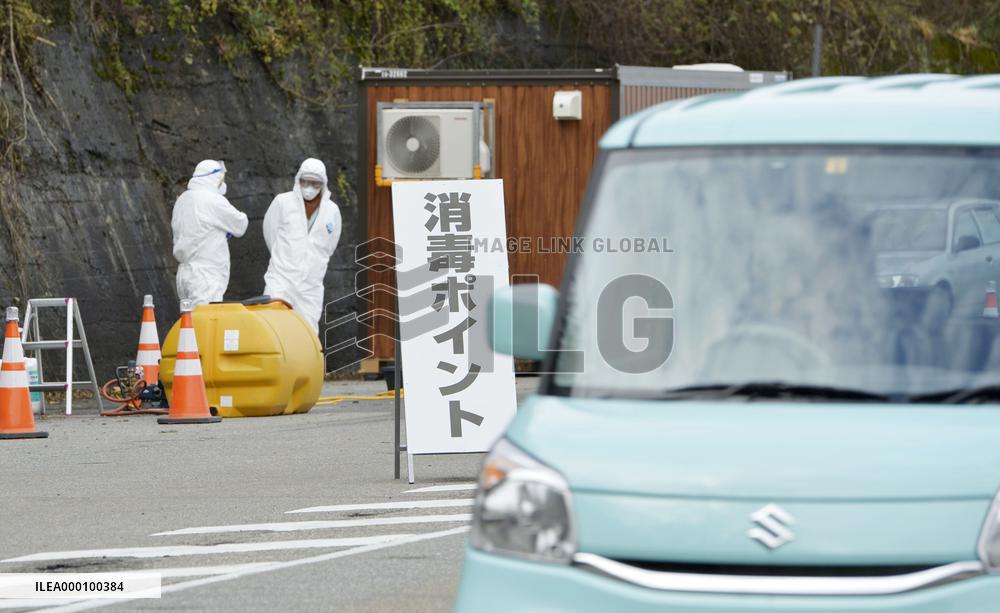 Culling of chickens continues in Niigata