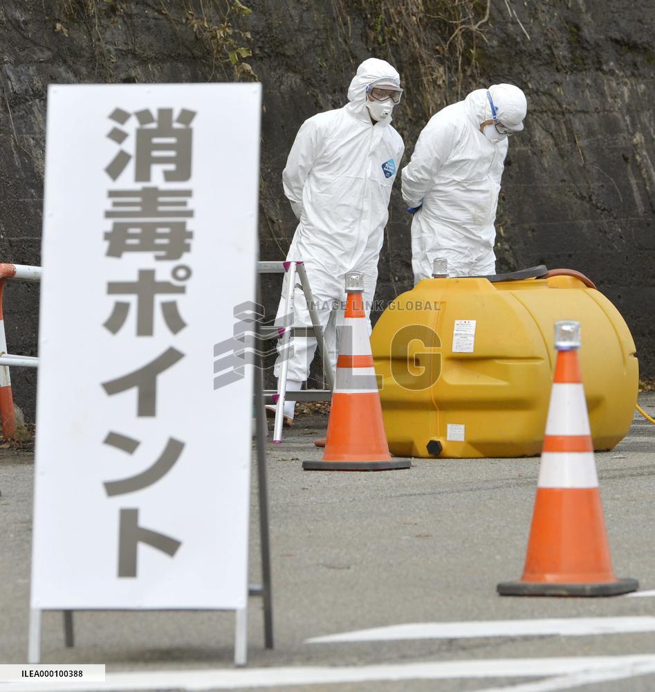 Culling of chickens continues in Niigata