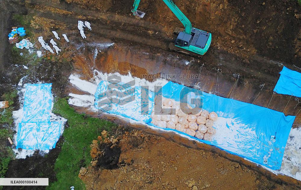 Another bird flu outbreak suspected in Japan's Niigata Prefecture