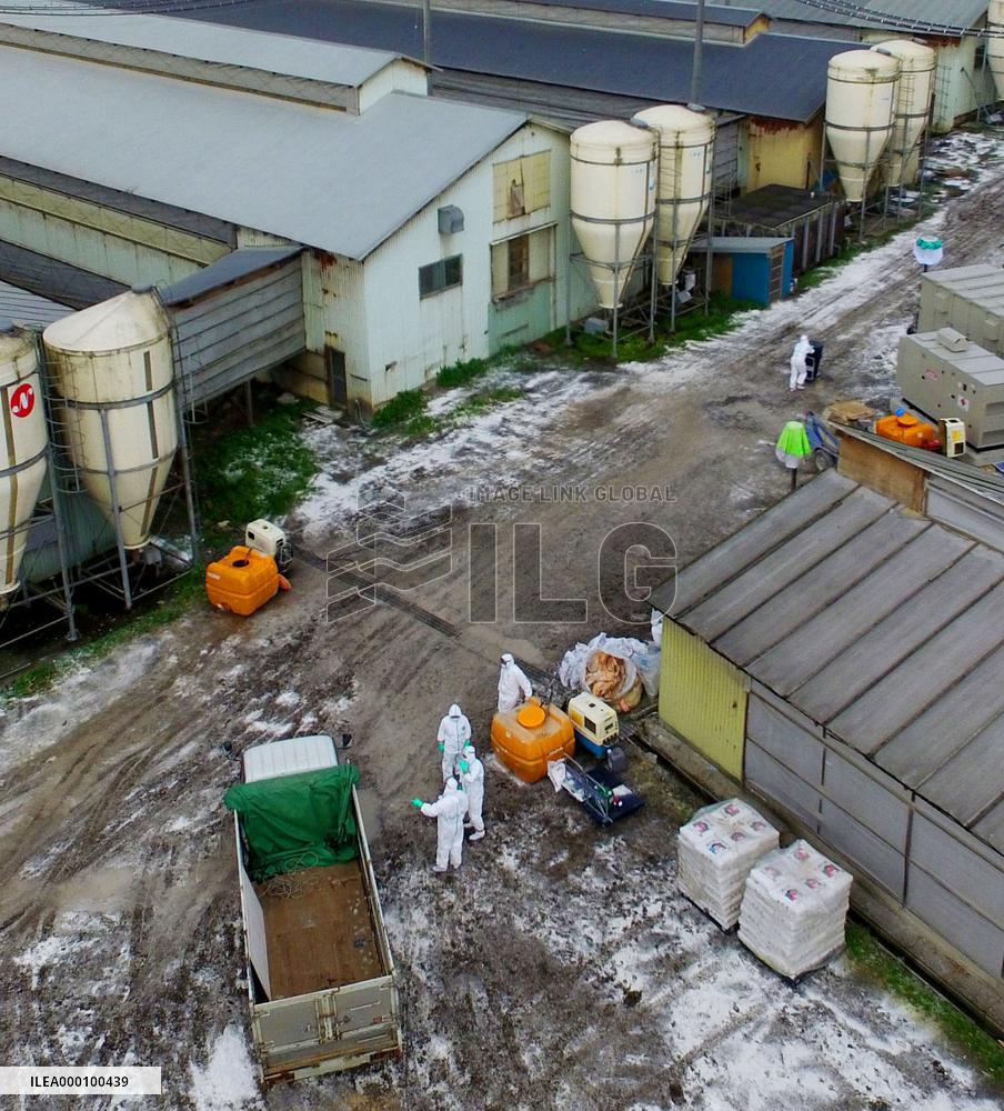 Chicken cull starts at another bird flu-hit farm in Japan
