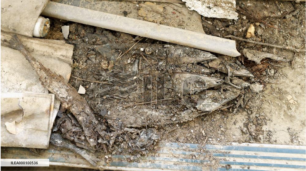 Tsunami-damaged high school building opened to public