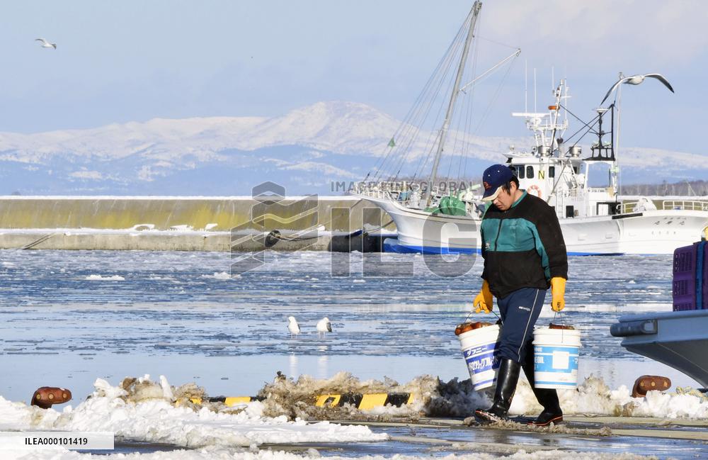 Abe, Putin to launch talks on joint activities on disputed isles