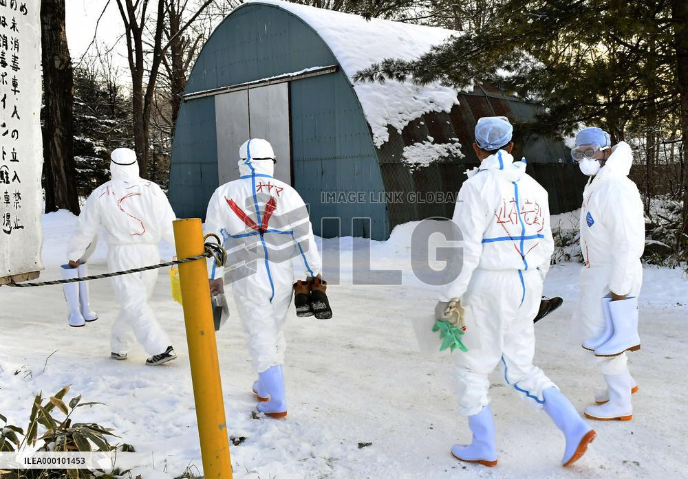 Highly pathogenic bird flu confirmed in Hokkaido